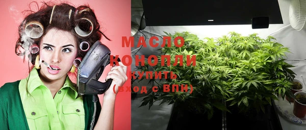 винт Абаза