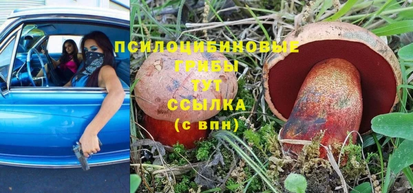 винт Абаза