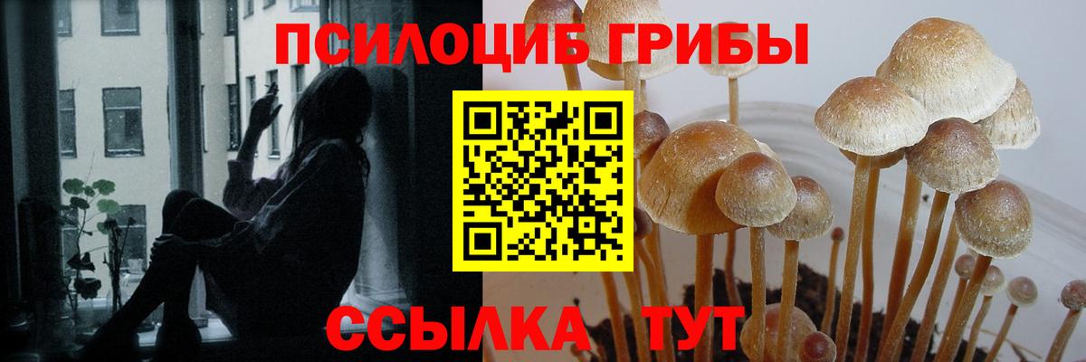 Альметьевск  Галлюциногенные грибы мицелий  Псилоцибиновые грибы ЛСД  Вход с VPN 